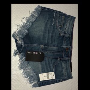 Frayed Jean Shorts